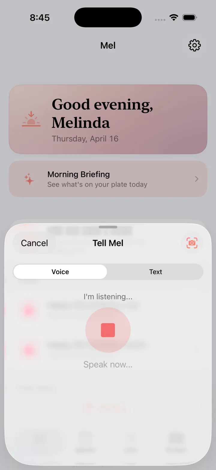 Brain Dump screenshot